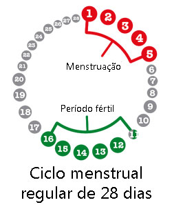 Tabelinha - gravidez - período fértil da mulher Tabelinha - gravidez - período fértil da mulher